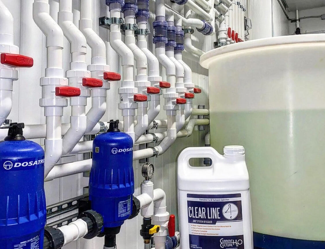 Hypochlorous Acid Growing Applications