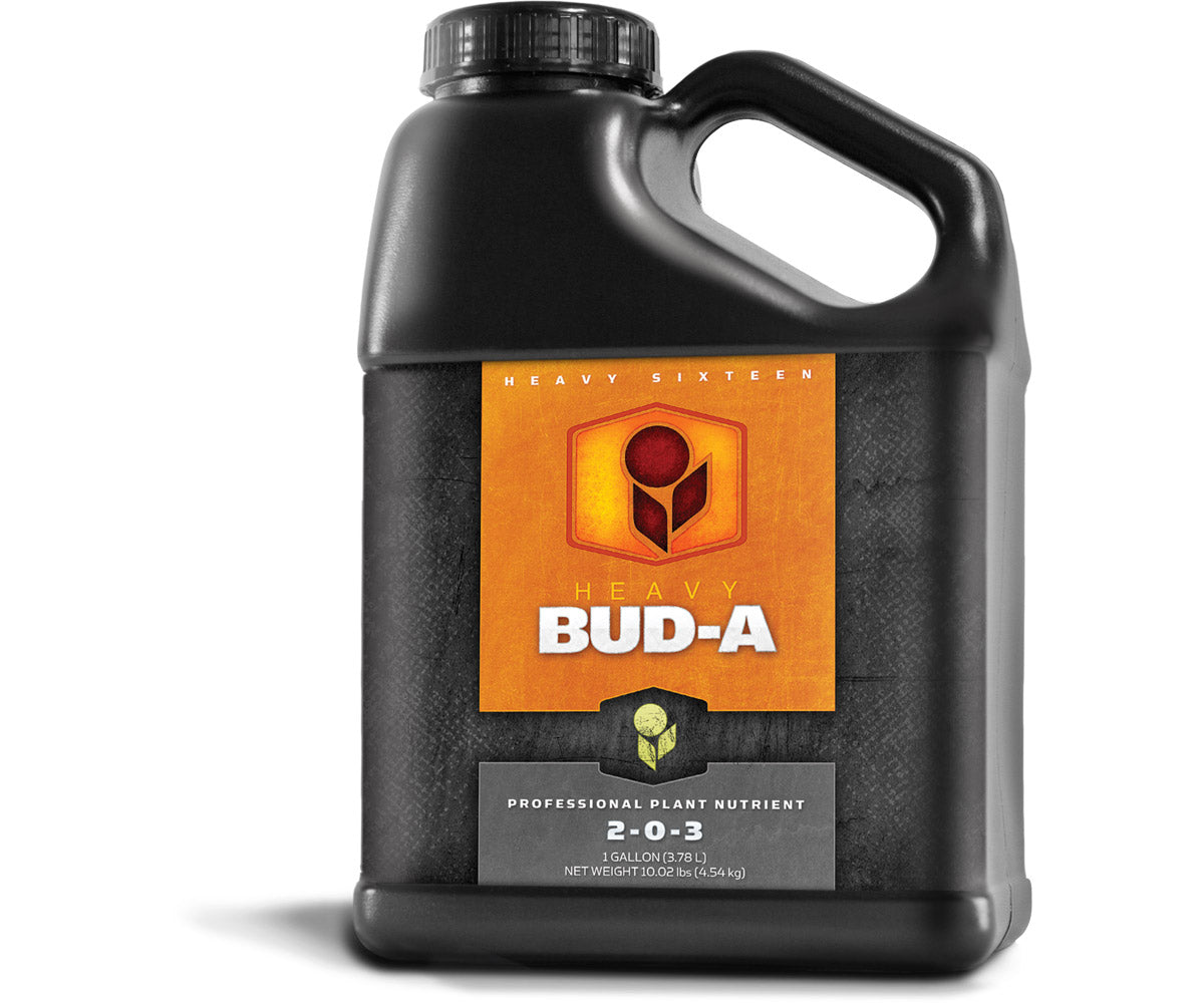 HEAVY 16 Bud A