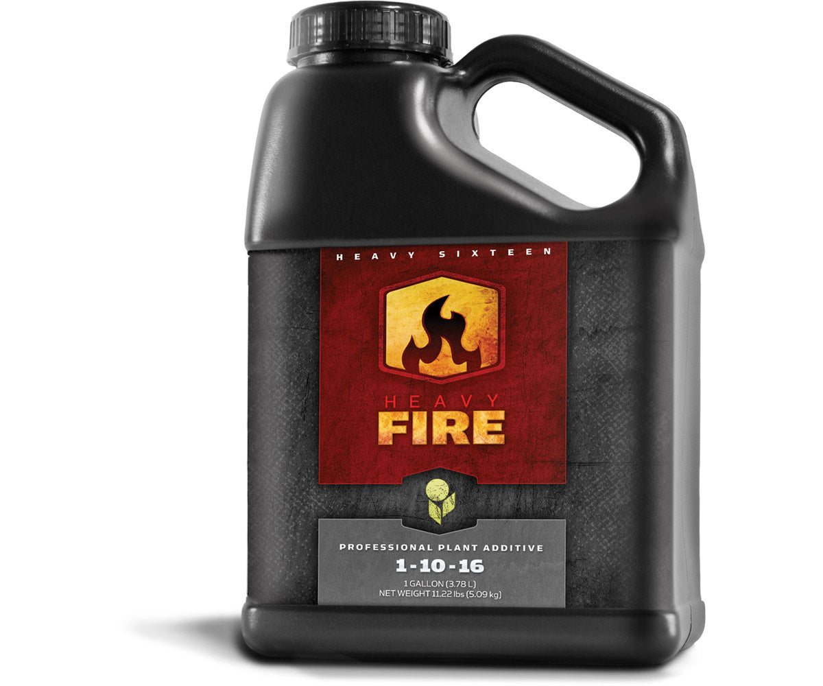 HEAVY 16 Fire