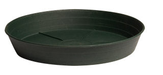 Premium Green Saucer, 8", pack of 25