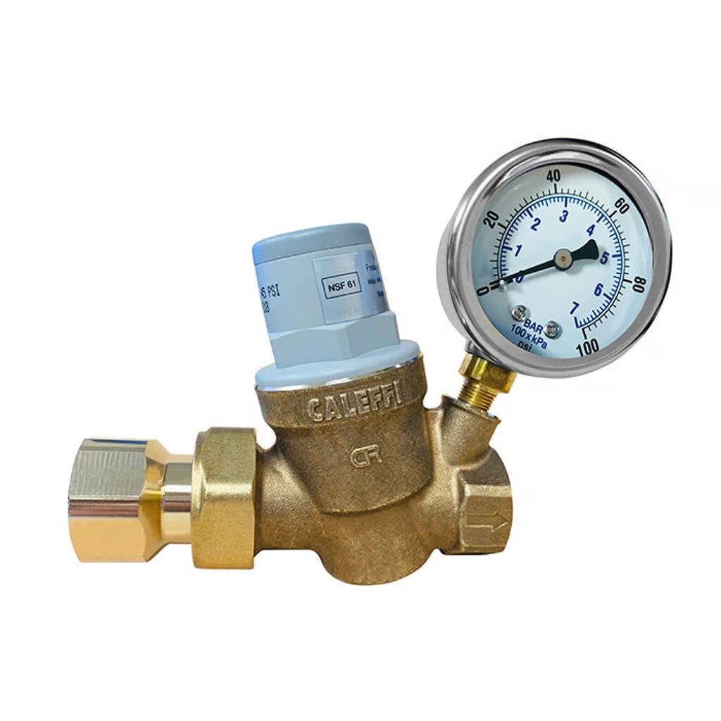 Dosatron Pressure Regulator with Gauge - 3/4"