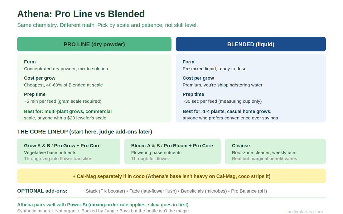 Athena vs HGV Nutrients (2026): An Honest Comparison