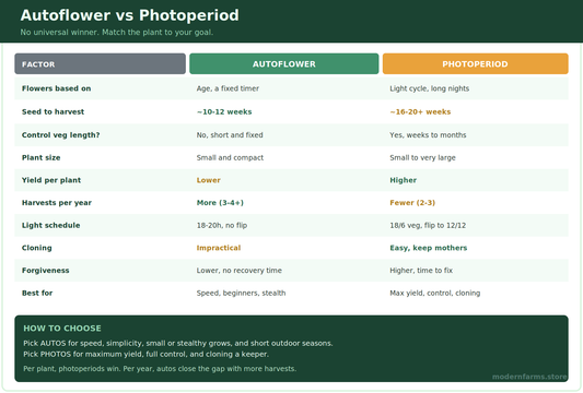 Autoflower vs Photoperiod: Pros, Cons, and Yield Math