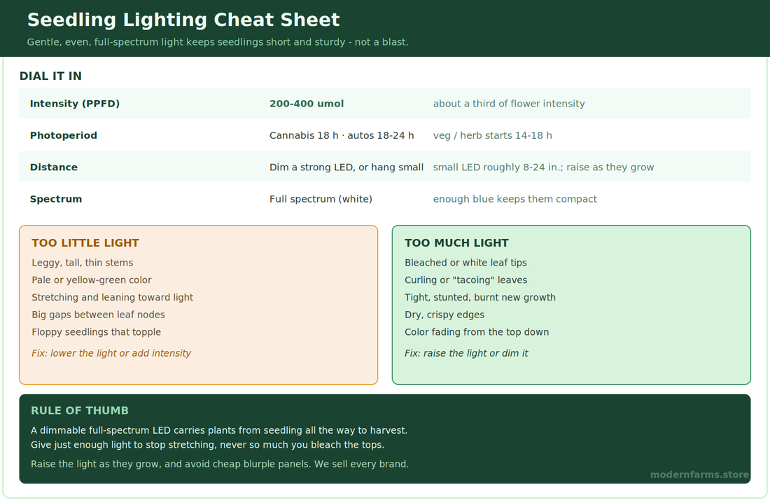 Best Grow Lights for Seedlings: Picks, PPFD, and Distance