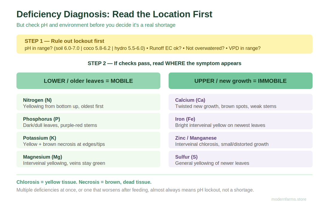 Cannabis Nutrient Deficiencies: How to Diagnose and Fix Them