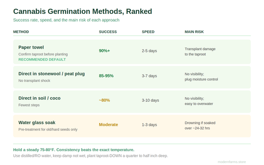 How to Germinate Cannabis Seeds: The Methods Ranked, the Temperature Settled, and the Transplant Nobody Explains