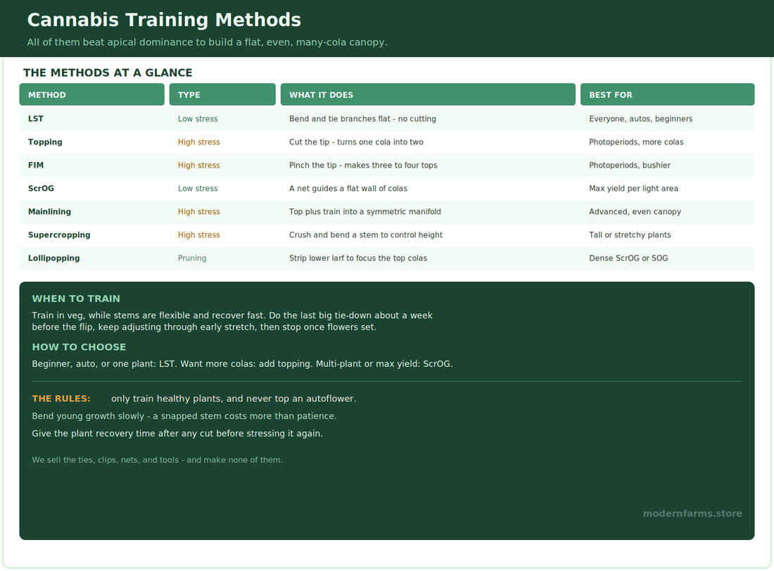 Cannabis Plant Training: LST, Topping, and ScrOG Explained