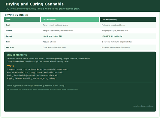 How to Dry and Cure Cannabis: The Complete Guide