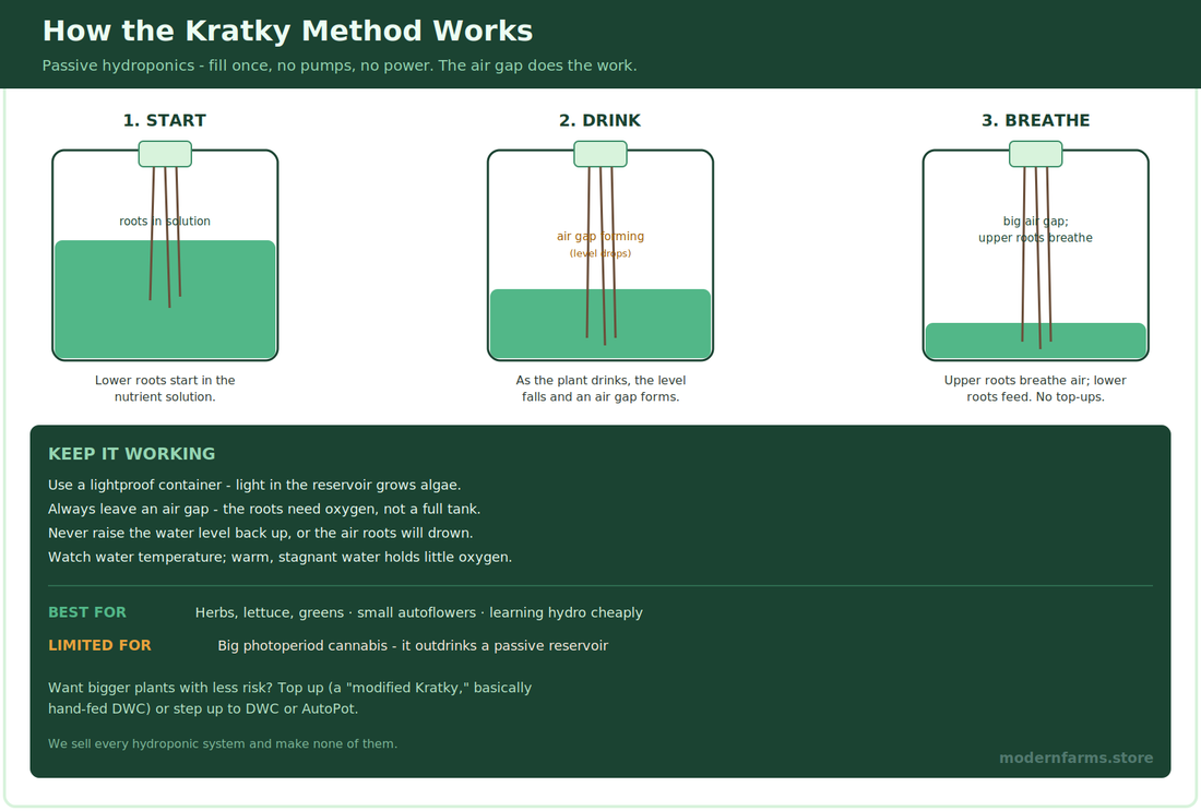The Kratky Method: Passive Hydroponics for Cannabis
