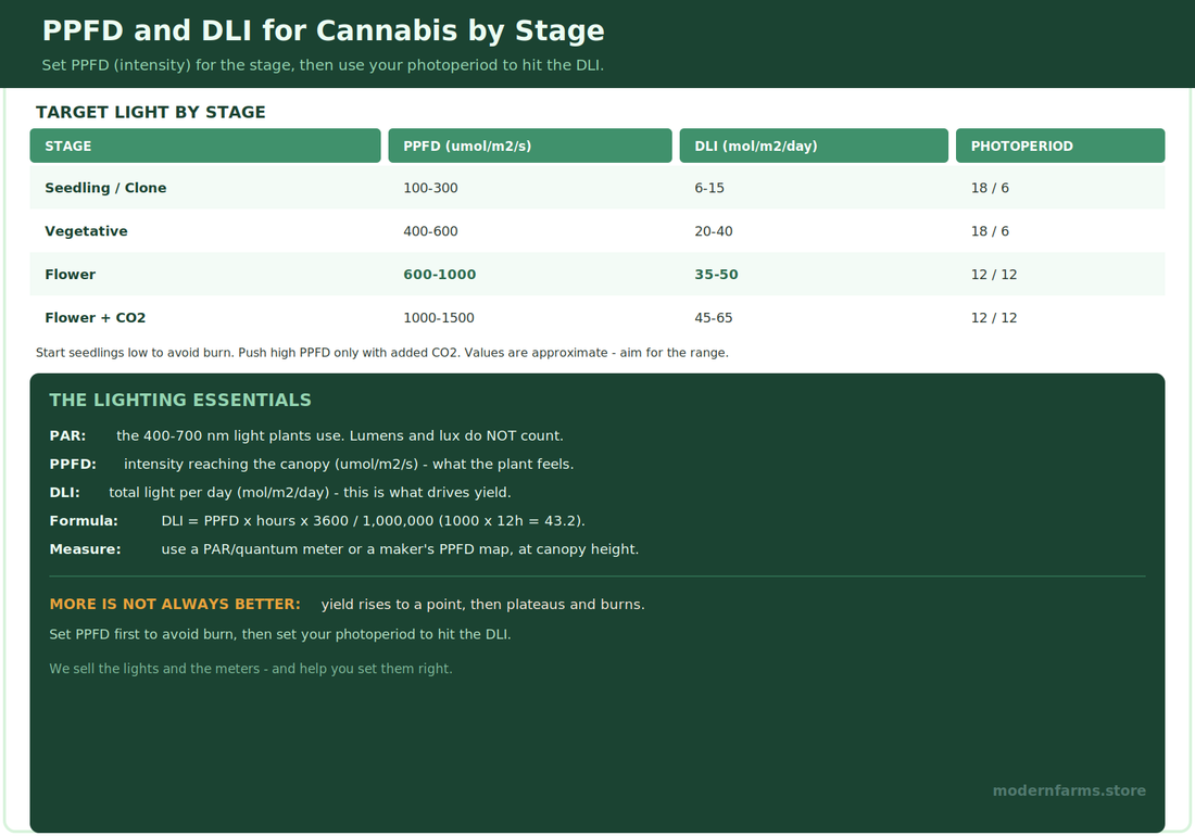 PPFD and DLI for Cannabis: How Much Light Your Plants Need