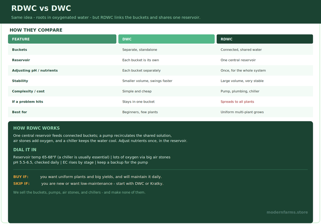 RDWC for Cannabis: How Recirculating Deep Water Culture Works
