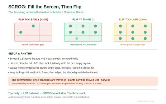 SCROG (Screen of Green) for Cannabis: When to Flip, How to Weave, and Whether It's Worth It