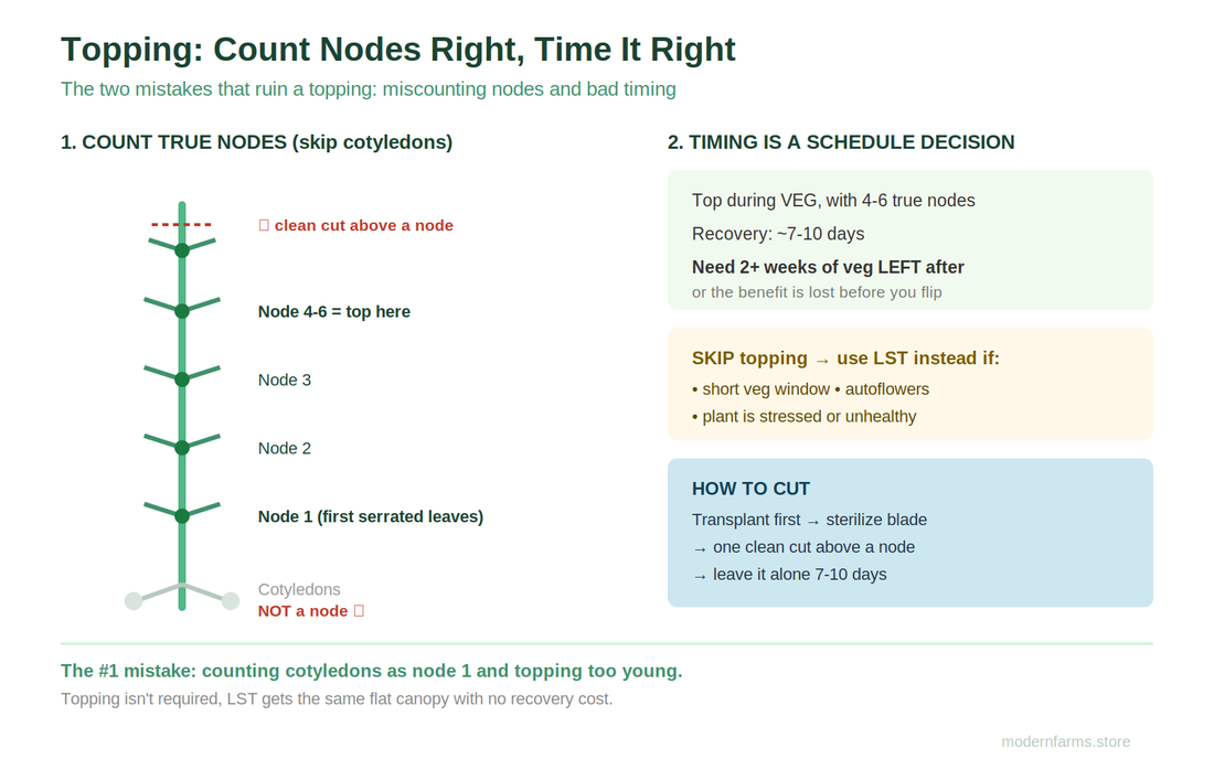Topping Cannabis: When to Cut, How to Count Nodes Right, and When to Skip It