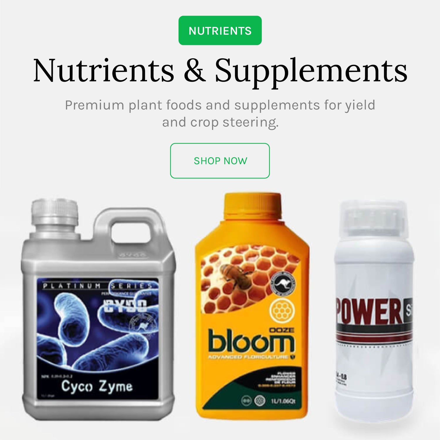 Nutrients and Supplements