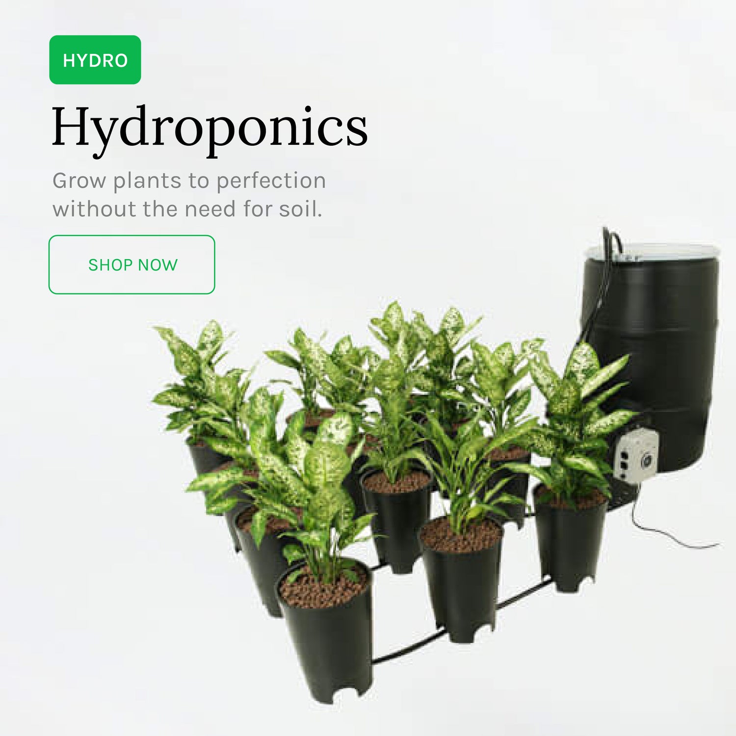 Hydroponics