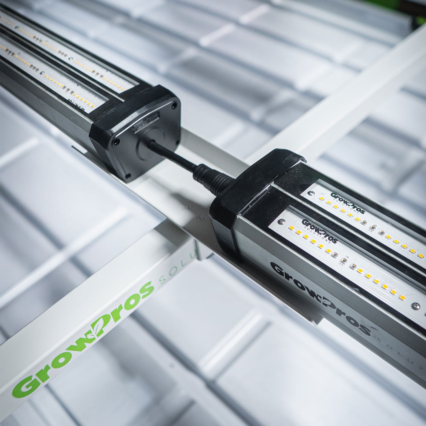Growpros Bench Bridge Stands