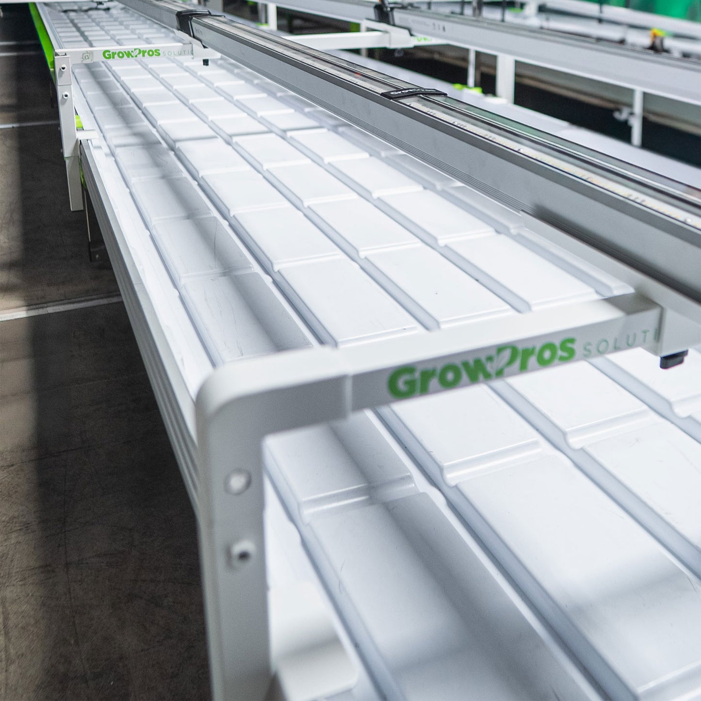 Growpros Bench Bridge Stands