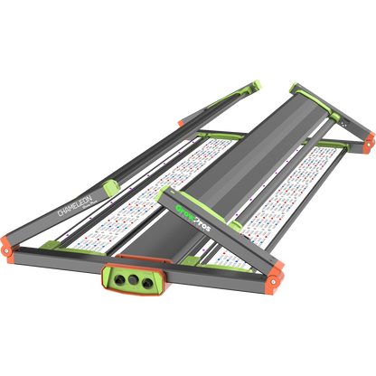 Chameleon 4x4 4 channels LED Grow Light for Indoor Cultivation