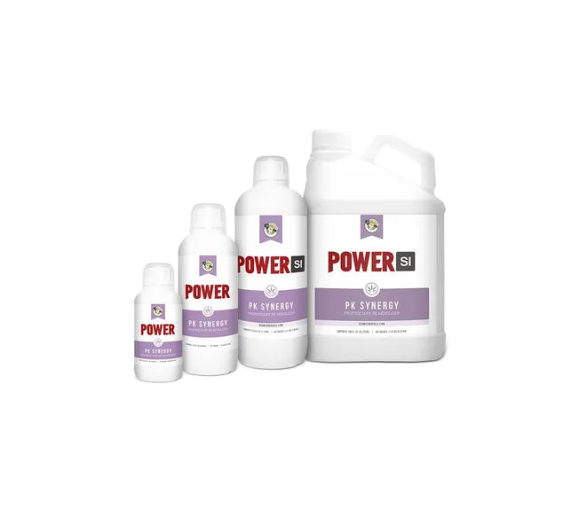 Power PK Synergy 5L