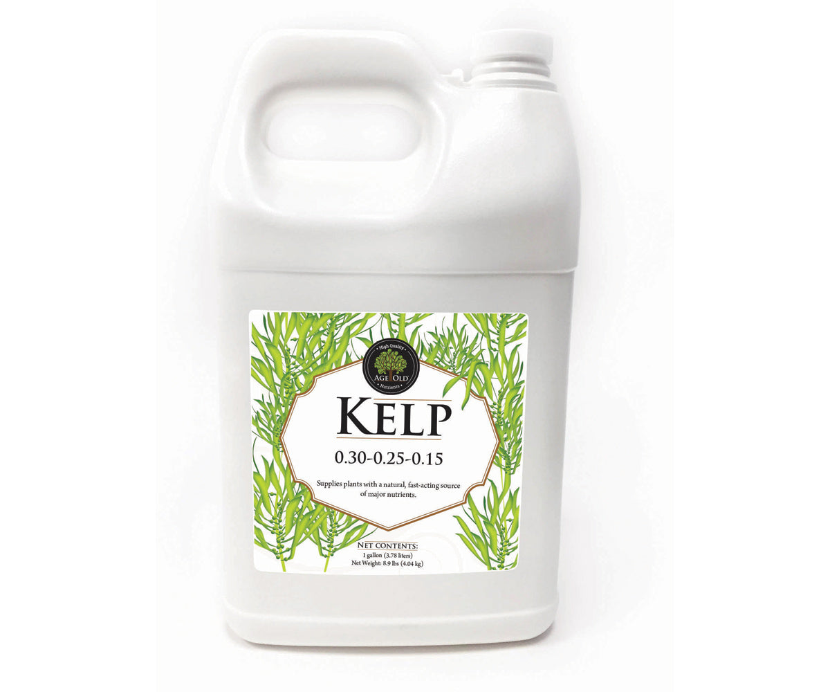 Age Old Kelp, 1 gal