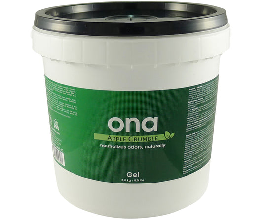 Ona Gel, Apple Crumble, 4 L Pail