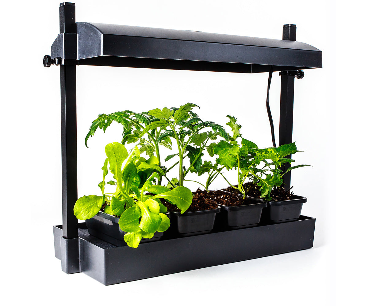 Sunblaster Micro LED Grow Light Garden