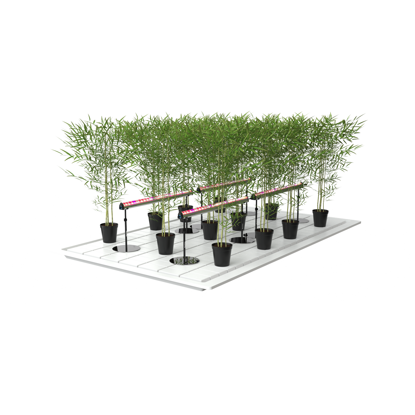 GrowPros Under Canopy Light 4ft Model 2 80% Deep Red Spectrum