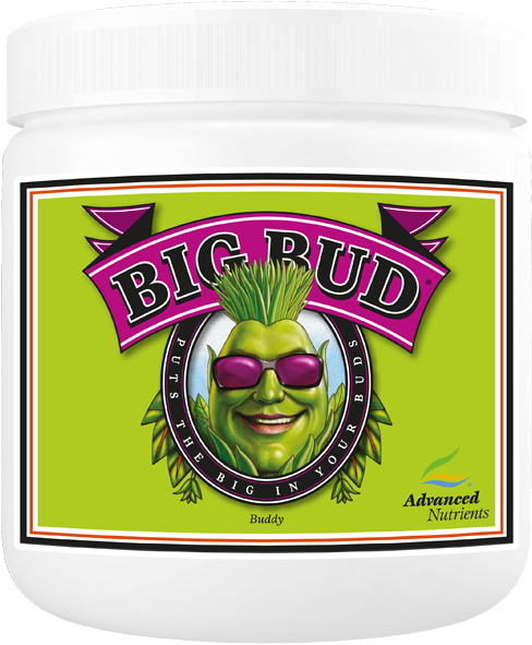 Big Bud Powder