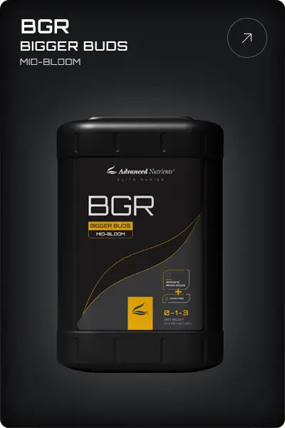 Advanced Nutrients BGR 8th Generation