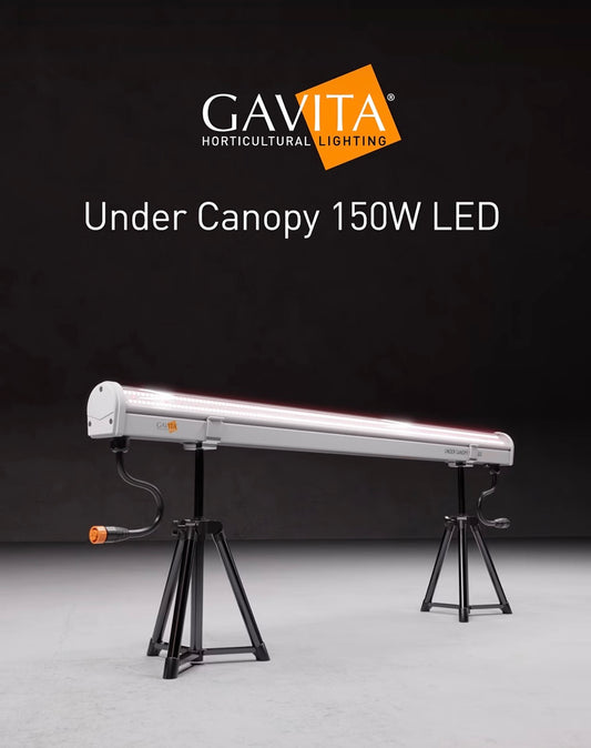 Gavita Under Canopy 150W LED 120-277V