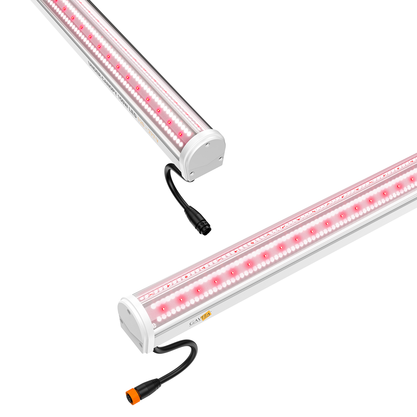 Gavita Under Canopy 150W LED 120-277V