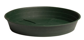 Premium Green Saucer, 12", pack of 10