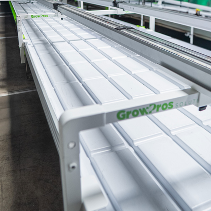 Under Canopy Light Bench Bridge Stands