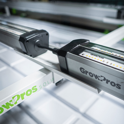 Under Canopy Light Bench Bridge Stands
