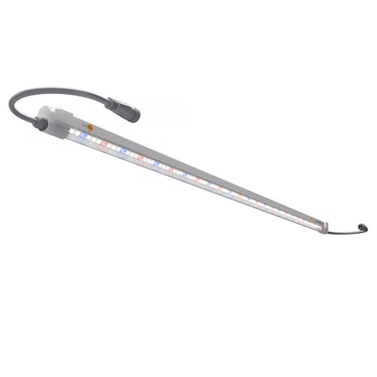 Gavita LED Clone Bar, Pack of 2