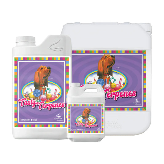 Tasty Terpenes 10L